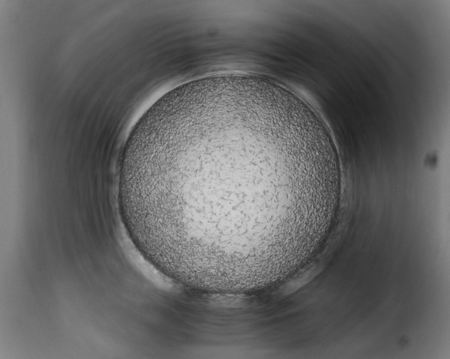 X0000115260859200911201704