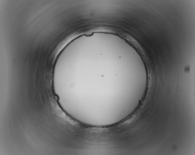 X0000115260860200911201704