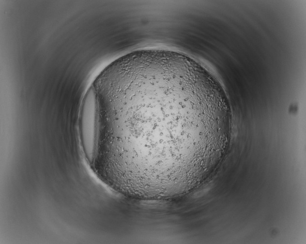 X0000115260863200911201704