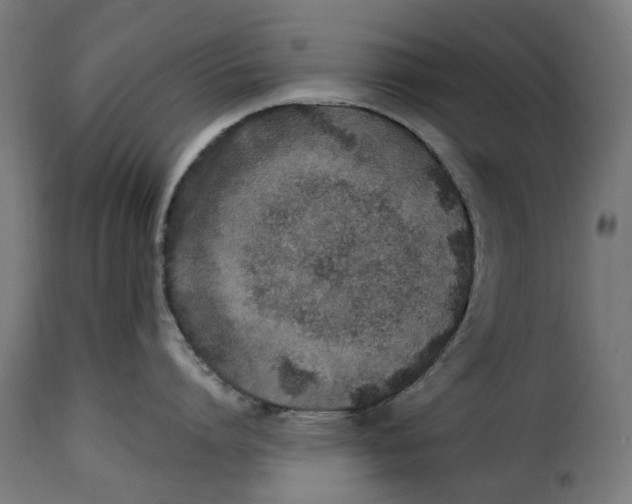 X0000115260864200911201704