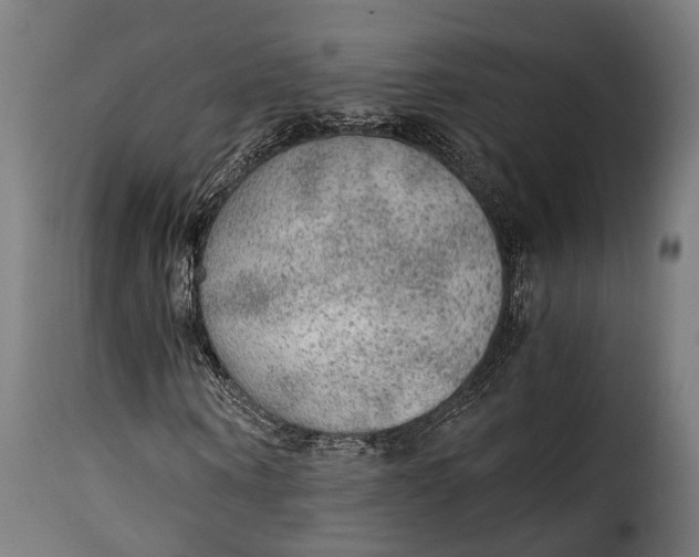 X0000115260866200911201703