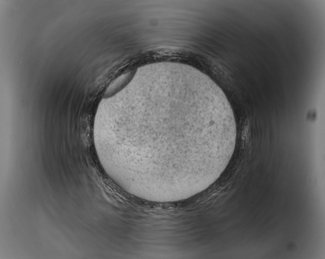 X0000115260868200911201703