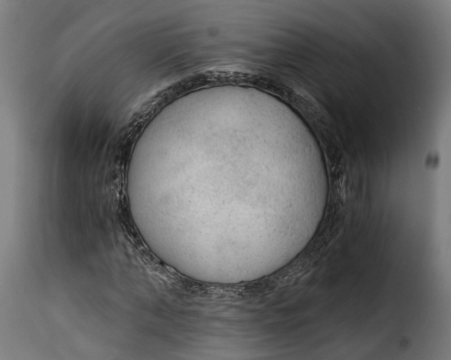 X0000115260870200911201703