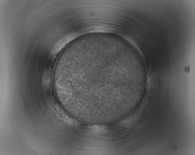 X0000115260874200911201703
