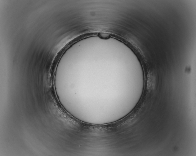 X0000115260876200911201703