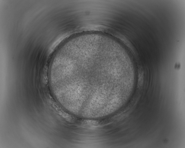 X0000115260878200911201703