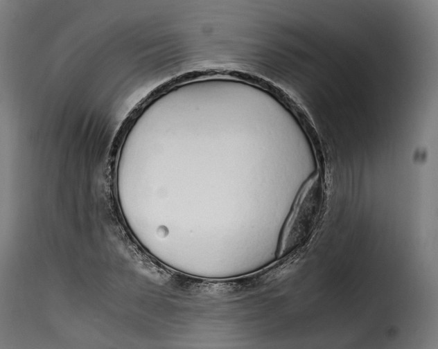 X0000115260879200911201703