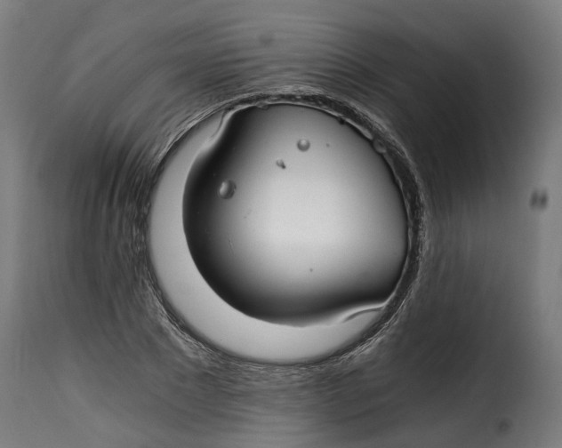 X0000115260881200911201703