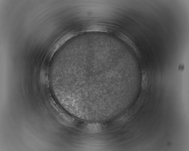X0000115260882200911201703