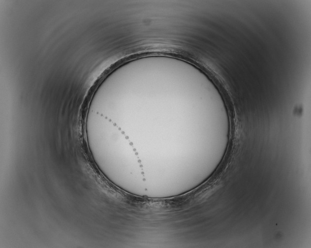 X0000115260883200911201703