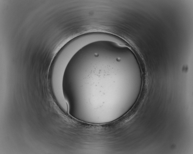 X0000115260885200911201703