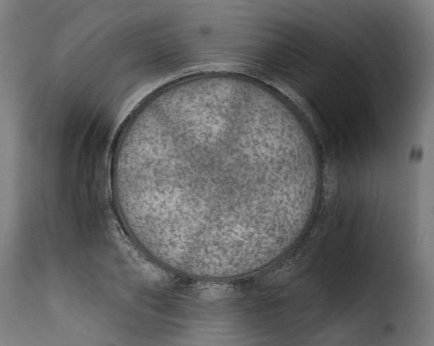 X0000115260886200911201703