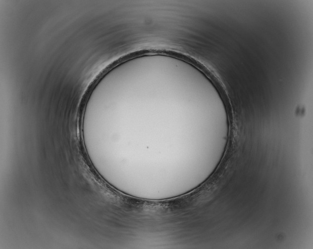 X0000115260887200911201703