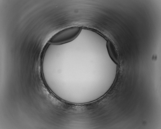 X0000115260888200911201703