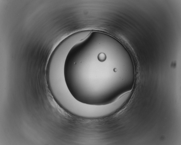 X0000115260892200911201703