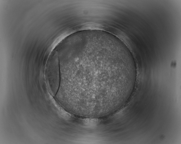 X0000115260893200911201703