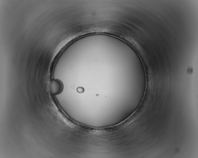X0000115260894200911201703