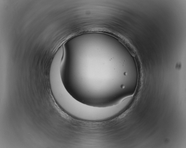 X0000115260897200911201703