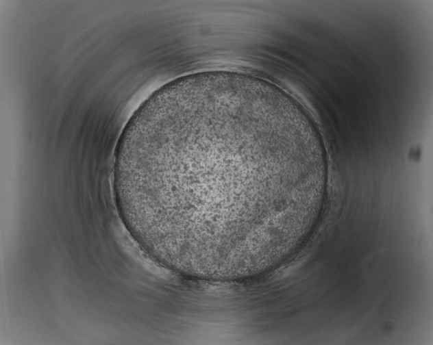 X0000115260899200911201703