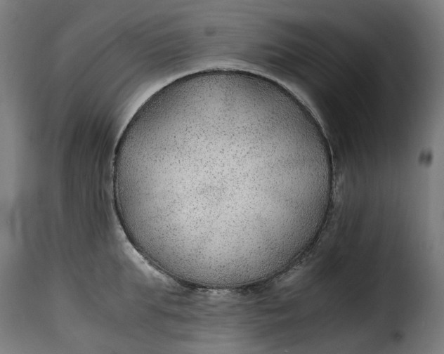 X0000115260903200911201703