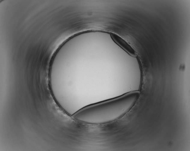 X0000115260904200911201702