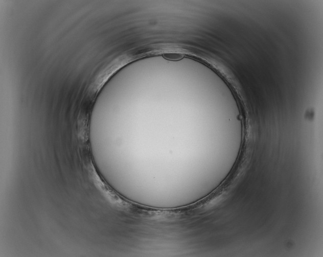 X0000115260905200911201702