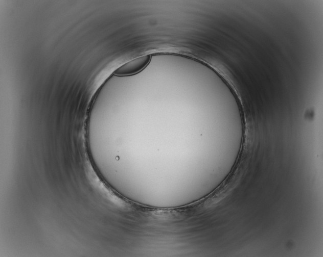 X0000115260906200911201702