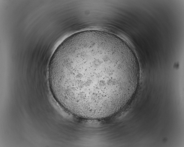 X0000115260907200911201702