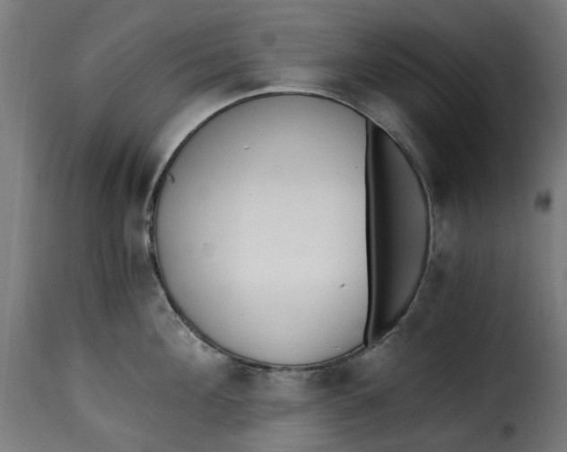 X0000115260908200911201702