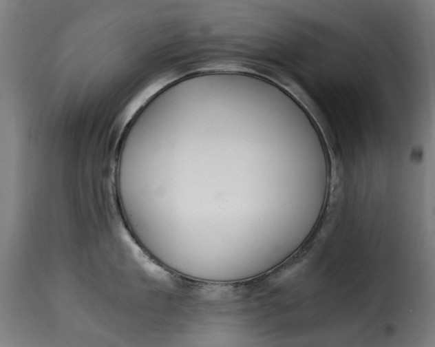 X0000115260909200911201702