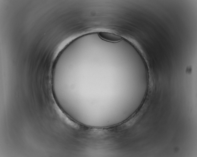 X0000115260910200911201702