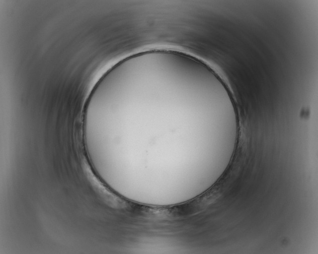 X0000115260911200911201702