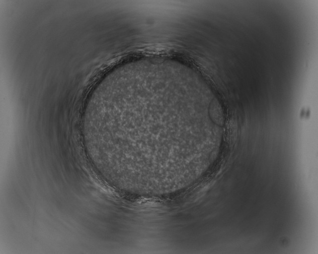 X0000115260913200911201702