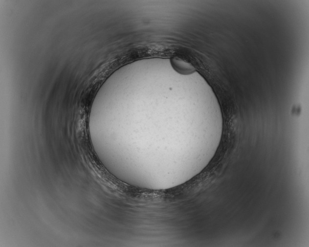 X0000115260914200911201702
