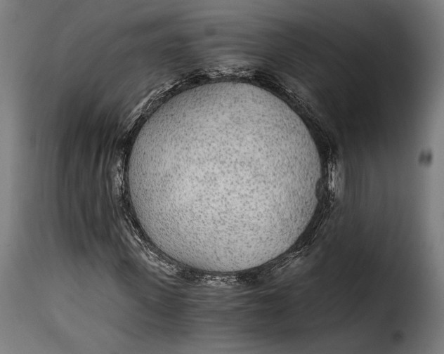 X0000115260915200911201702
