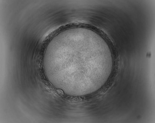 X0000115260919200911201702