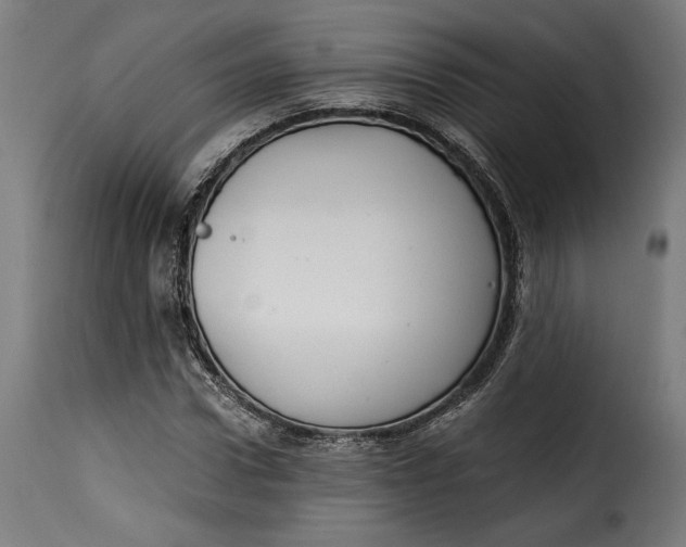 X0000115260922200911201702