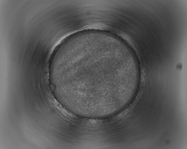 X0000115260923200911201702