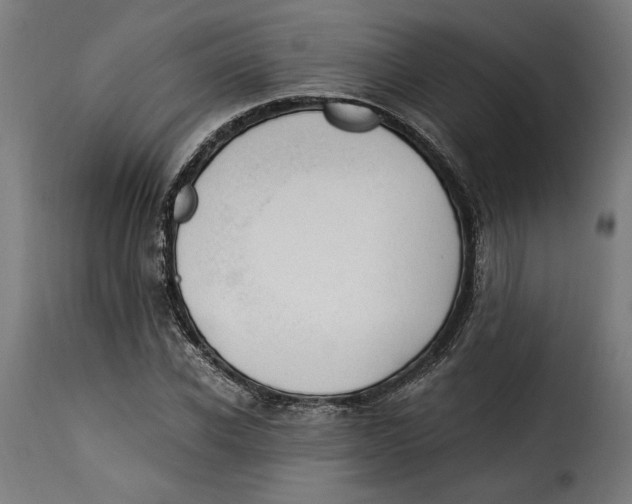 X0000115260926200911201702