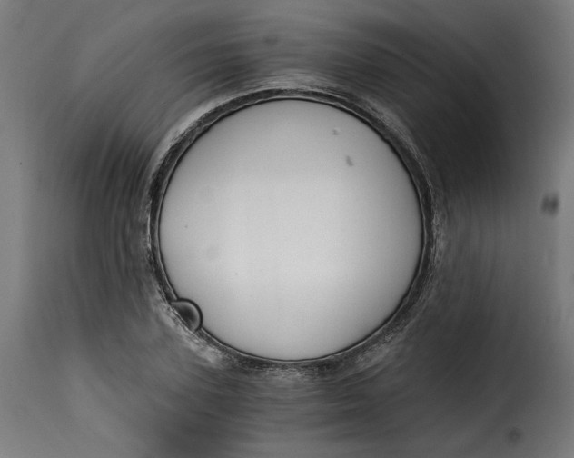 X0000115260931200911201702