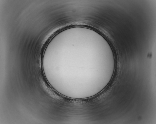 X0000115260934200911201702