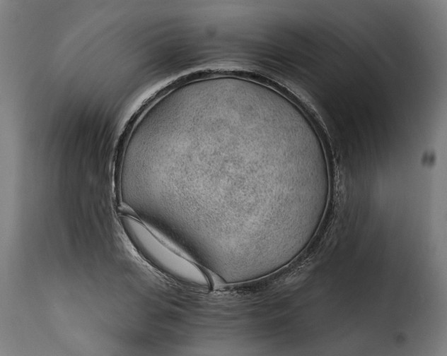 X0000115260935200911201702