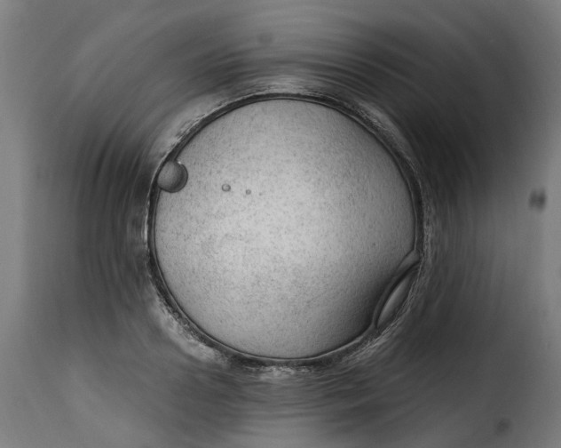 X0000115260938200911201702