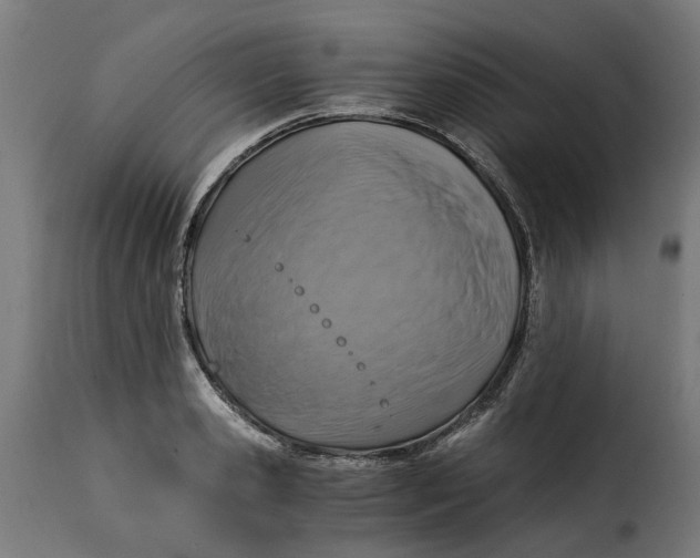 X0000115260941200911201702