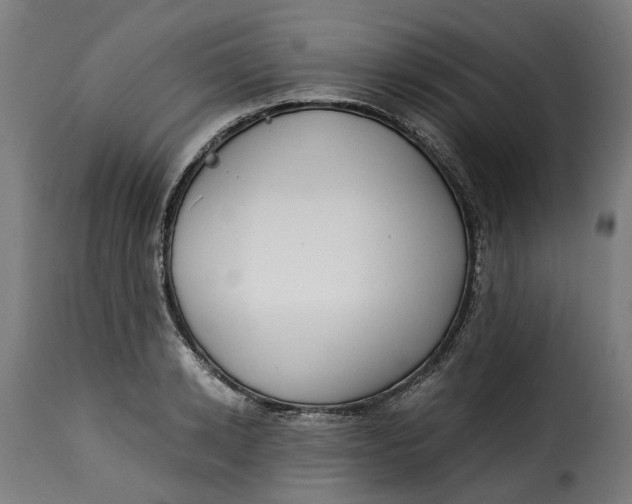 X0000115260942200911201702