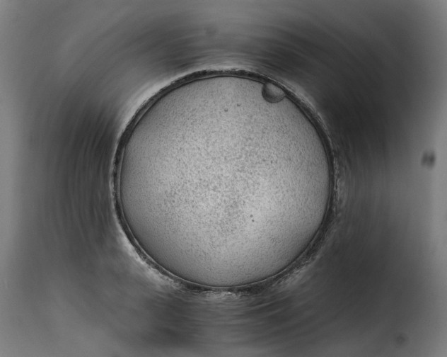 X0000115260943200911201702