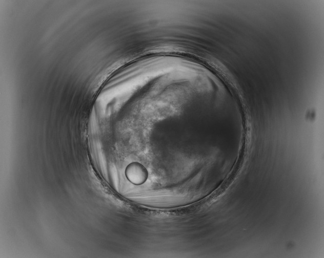 X0000115260945200911201702