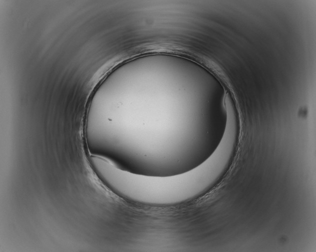 X0000115260946200911201702