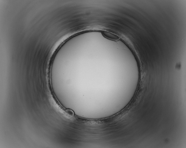 X0000115260947200911201702