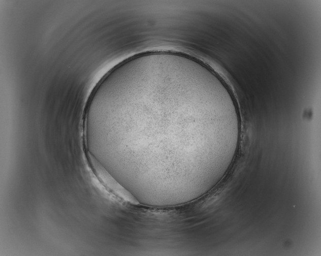X0000115260951200911201702